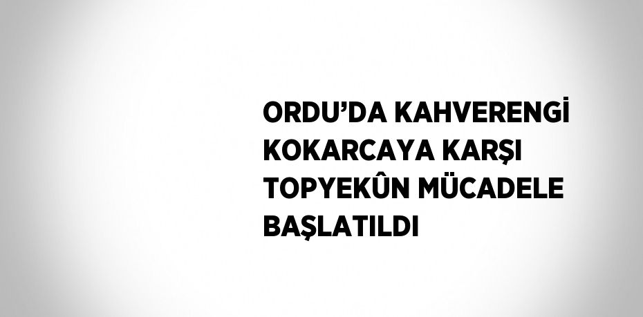 ORDU’DA KAHVERENGİ KOKARCAYA KARŞI TOPYEKÛN MÜCADELE BAŞLATILDI