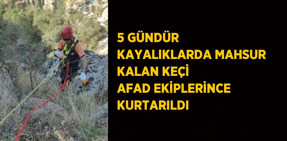 5 GÜNDÜR KAYALIKLARDA MAHSUR KALAN KEÇİ AFAD EKİPLERİNCE KURTARILDI