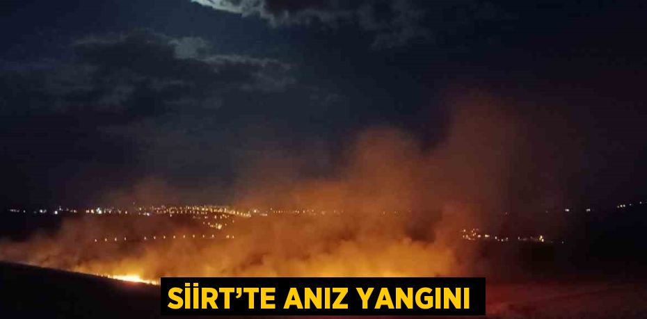 SİİRT’TE ANIZ YANGINI