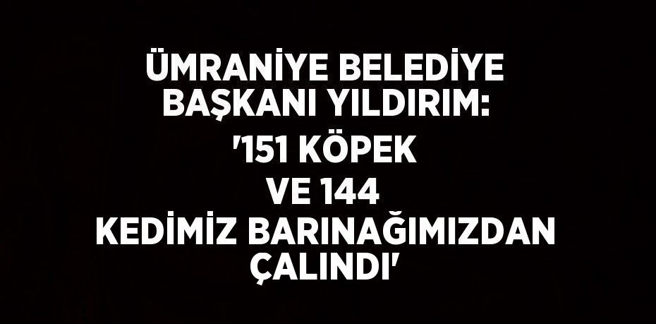 ÜMRANİYE BELEDİYE BAŞKANI YILDIRIM: '151 KÖPEK VE 144 KEDİMİZ BARINAĞIMIZDAN ÇALINDI'