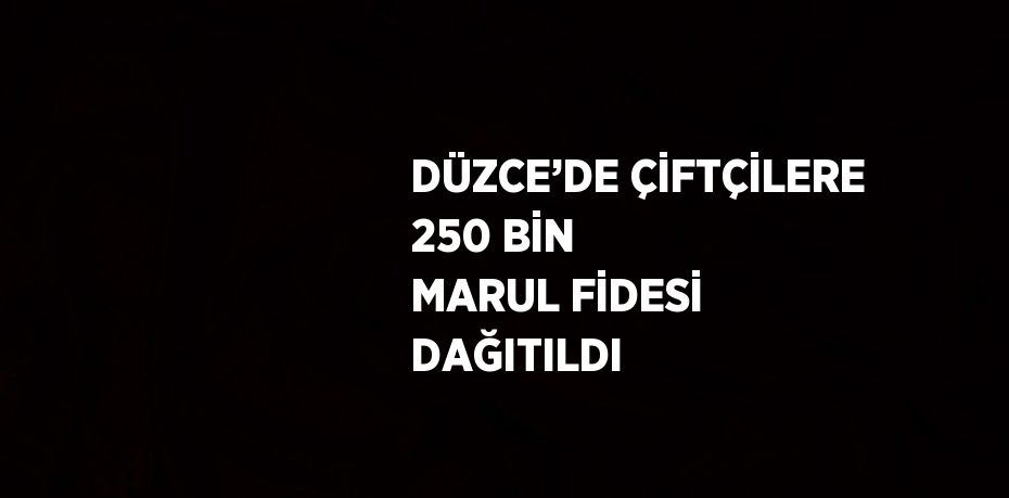 DÜZCE’DE ÇİFTÇİLERE 250 BİN MARUL FİDESİ DAĞITILDI