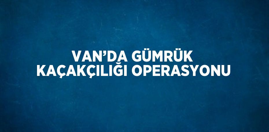 VAN’DA GÜMRÜK KAÇAKÇILIĞI OPERASYONU