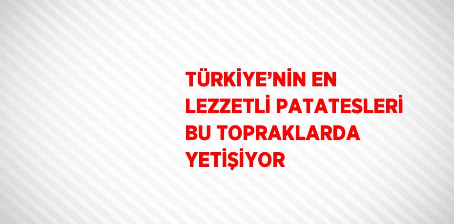 TÜRKİYE’NİN EN LEZZETLİ PATATESLERİ BU TOPRAKLARDA YETİŞİYOR