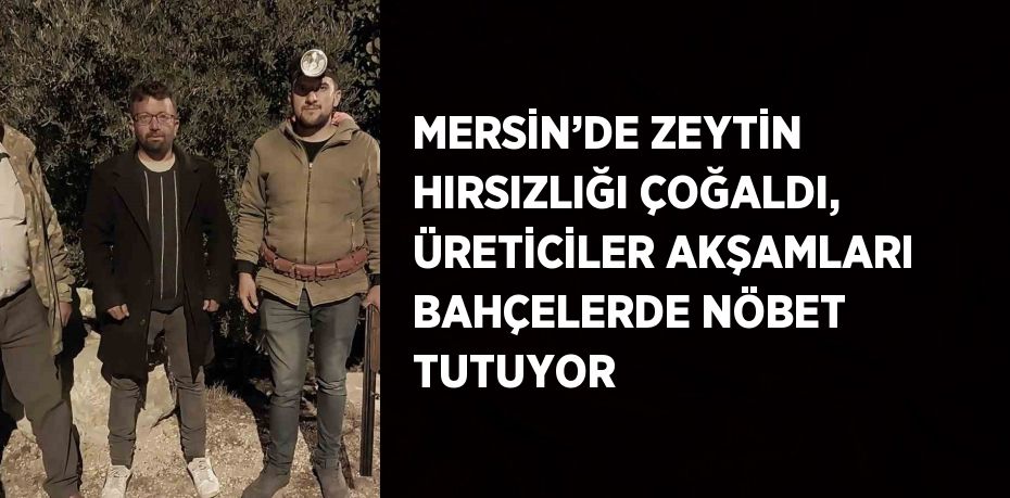 MERSİN’DE ZEYTİN HIRSIZLIĞI ÇOĞALDI, ÜRETİCİLER AKŞAMLARI BAHÇELERDE NÖBET TUTUYOR