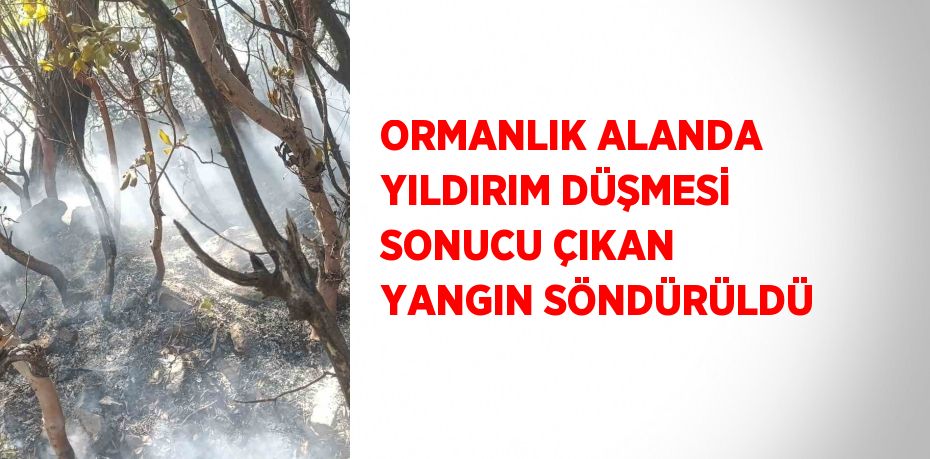 ORMANLIK ALANDA YILDIRIM DÜŞMESİ SONUCU ÇIKAN YANGIN SÖNDÜRÜLDÜ