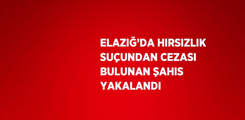 ELAZIĞ’DA HIRSIZLIK SUÇUNDAN CEZASI BULUNAN ŞAHIS YAKALANDI