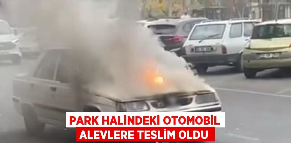 PARK HALİNDEKİ OTOMOBİL ALEVLERE TESLİM OLDU