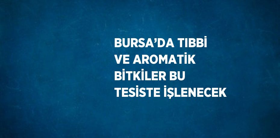 BURSA’DA TIBBİ VE AROMATİK BİTKİLER BU TESİSTE İŞLENECEK