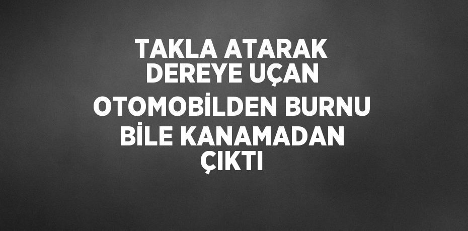 TAKLA ATARAK DEREYE UÇAN OTOMOBİLDEN BURNU BİLE KANAMADAN ÇIKTI