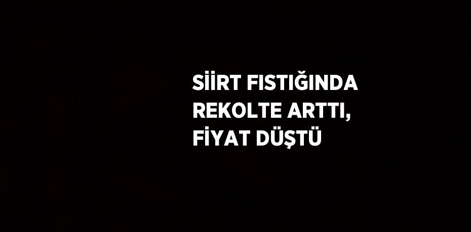 SİİRT FISTIĞINDA REKOLTE ARTTI, FİYAT DÜŞTÜ