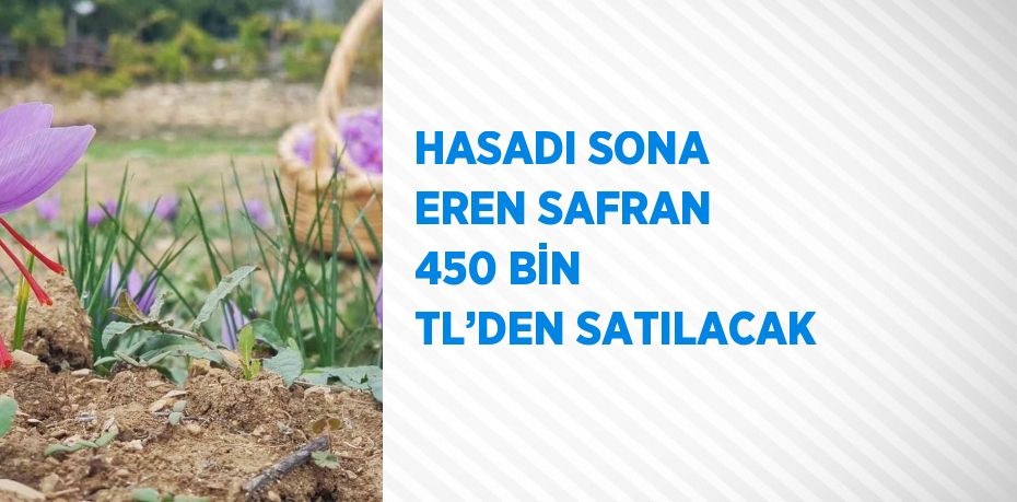 HASADI SONA EREN SAFRAN 450 BİN TL’DEN SATILACAK