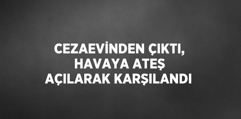 CEZAEVİNDEN ÇIKTI, HAVAYA ATEŞ AÇILARAK KARŞILANDI