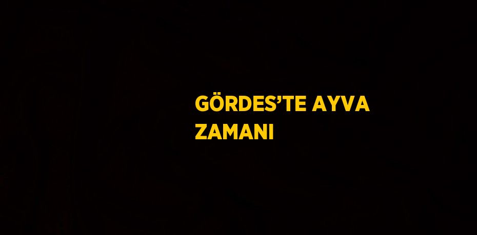 GÖRDES’TE AYVA ZAMANI