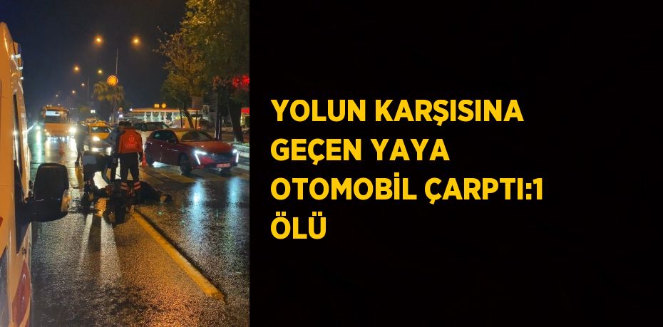 YOLUN KARŞISINA GEÇEN YAYA OTOMOBİL ÇARPTI:1 ÖLÜ