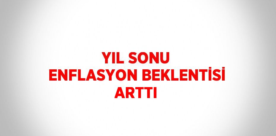 YIL SONU ENFLASYON BEKLENTİSİ ARTTI