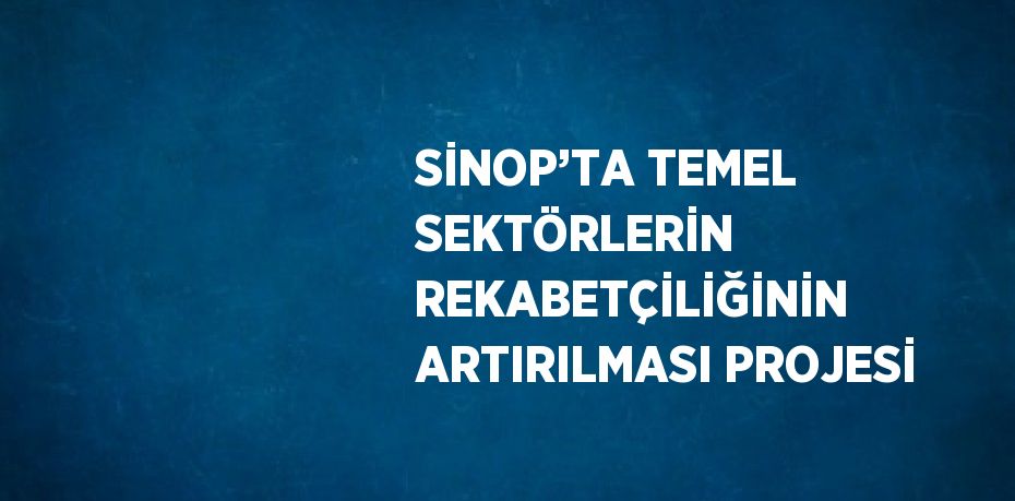 SİNOP’TA TEMEL SEKTÖRLERİN REKABETÇİLİĞİNİN ARTIRILMASI PROJESİ