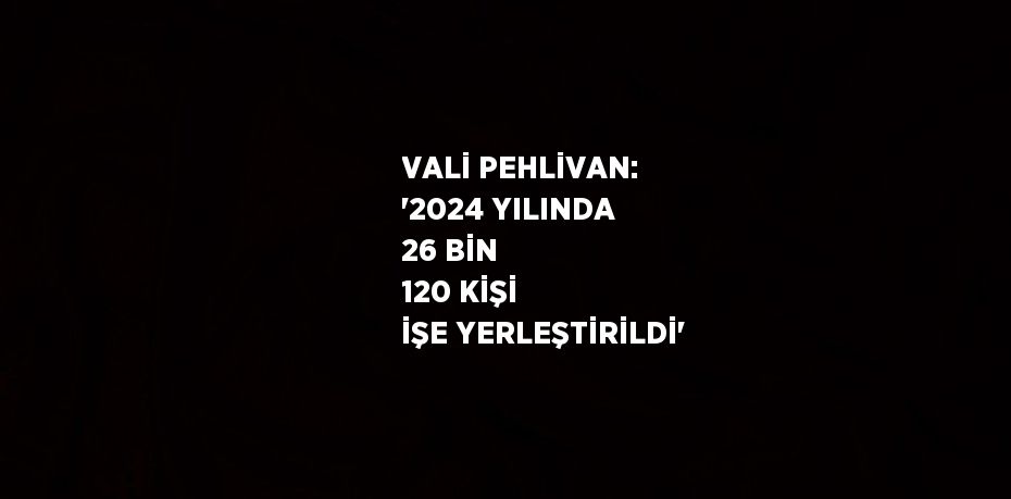 VALİ PEHLİVAN: '2024 YILINDA 26 BİN 120 KİŞİ İŞE YERLEŞTİRİLDİ'