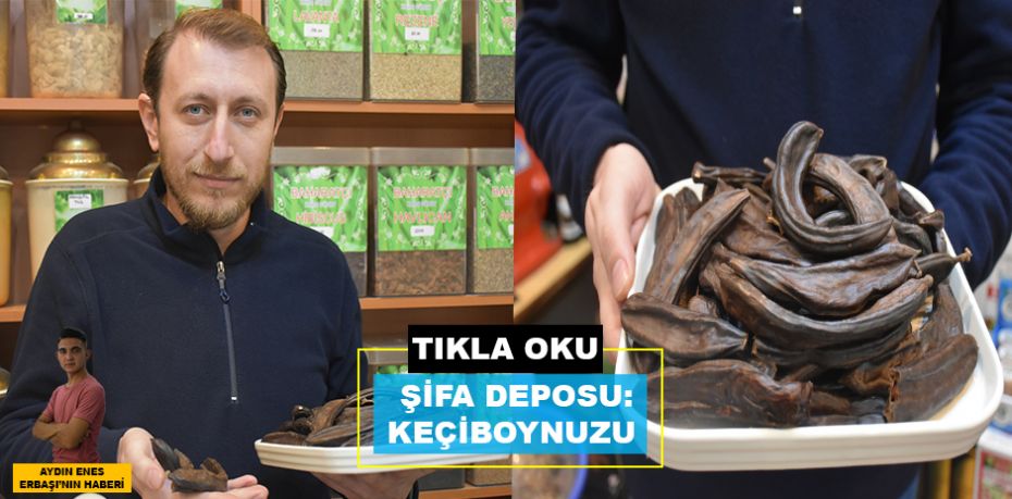 ŞİFA DEPOSU: KEÇİBOYNUZU