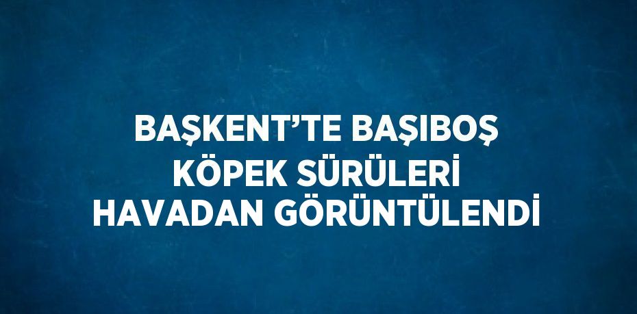 BAŞKENT’TE BAŞIBOŞ KÖPEK SÜRÜLERİ HAVADAN GÖRÜNTÜLENDİ