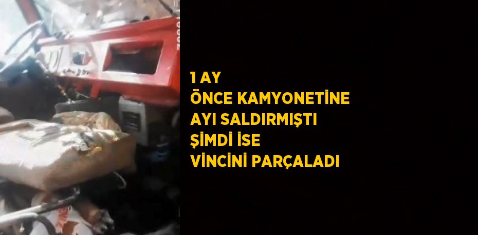 1 AY ÖNCE KAMYONETİNE AYI SALDIRMIŞTI ŞİMDİ İSE VİNCİNİ PARÇALADI