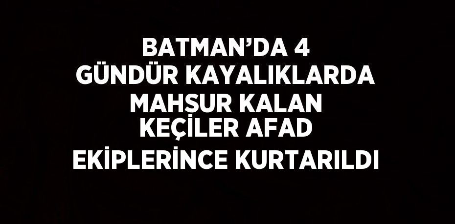 BATMAN’DA 4 GÜNDÜR KAYALIKLARDA MAHSUR KALAN KEÇİLER AFAD EKİPLERİNCE KURTARILDI