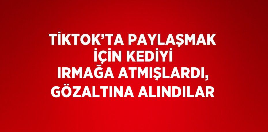 TİKTOK’TA PAYLAŞMAK İÇİN KEDİYİ IRMAĞA ATMIŞLARDI, GÖZALTINA ALINDILAR