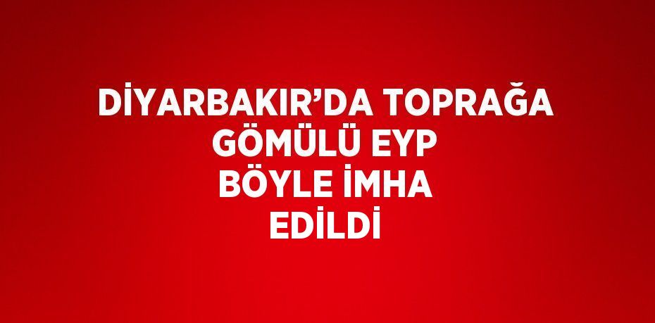 DİYARBAKIR’DA TOPRAĞA GÖMÜLÜ EYP BÖYLE İMHA EDİLDİ