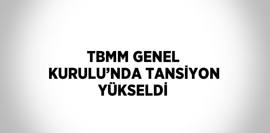 TBMM GENEL KURULU’NDA TANSİYON YÜKSELDİ