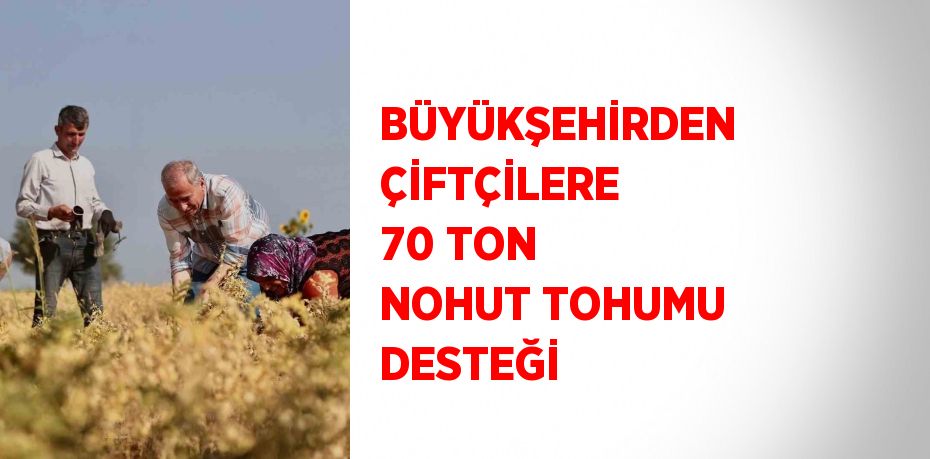 BÜYÜKŞEHİRDEN ÇİFTÇİLERE 70 TON NOHUT TOHUMU DESTEĞİ