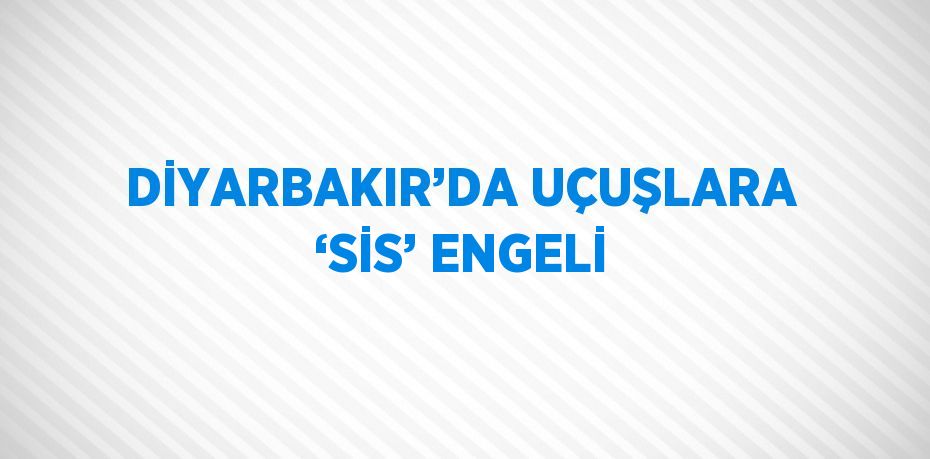 DİYARBAKIR’DA UÇUŞLARA ‘SİS’ ENGELİ