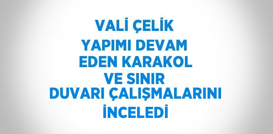 VALİ ÇELİK YAPIMI DEVAM EDEN KARAKOL VE SINIR DUVARI ÇALIŞMALARINI İNCELEDİ