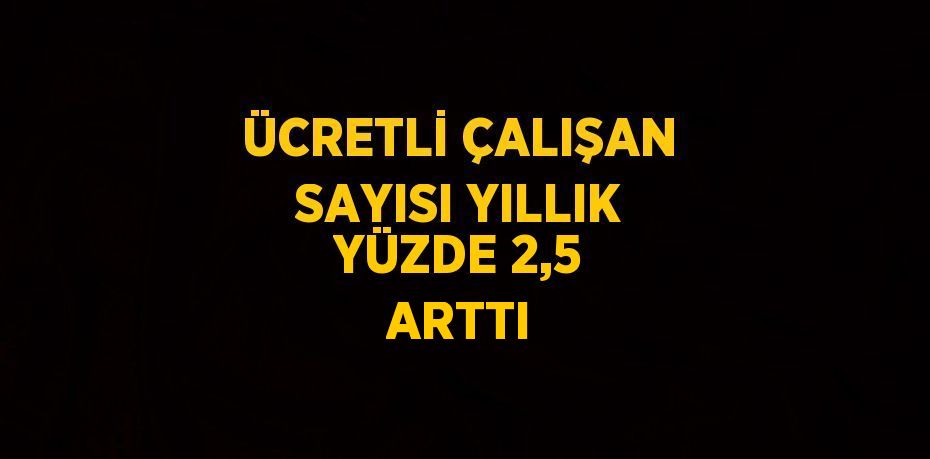 ÜCRETLİ ÇALIŞAN SAYISI YILLIK YÜZDE 2,5 ARTTI