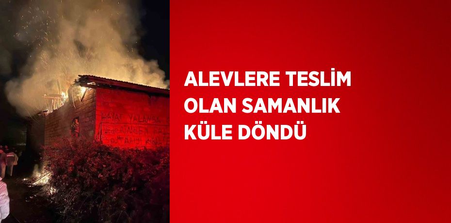 ALEVLERE TESLİM OLAN SAMANLIK KÜLE DÖNDÜ