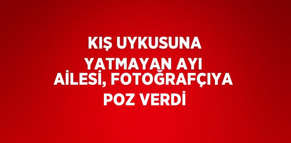 KIŞ UYKUSUNA YATMAYAN AYI AİLESİ, FOTOĞRAFÇIYA POZ VERDİ