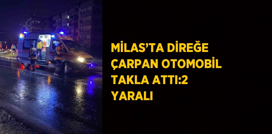 MİLAS’TA DİREĞE ÇARPAN OTOMOBİL TAKLA ATTI:2 YARALI