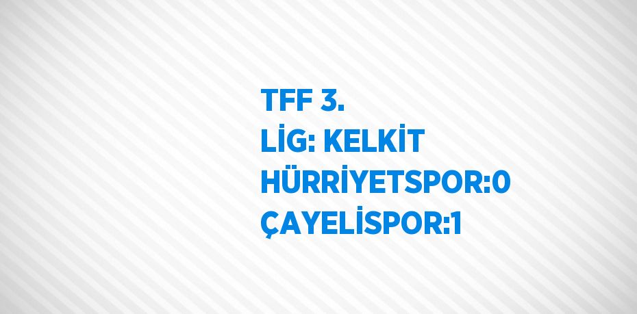 TFF 3. LİG: KELKİT HÜRRİYETSPOR:0 ÇAYELİSPOR:1