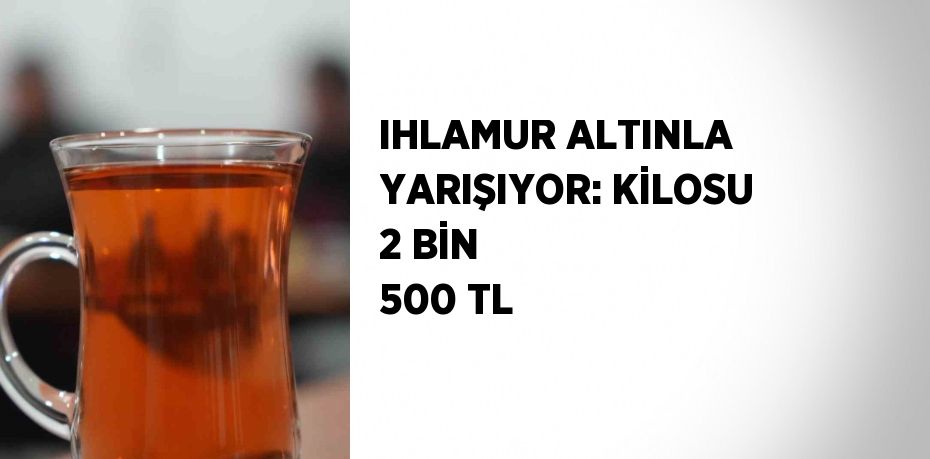 IHLAMUR ALTINLA YARIŞIYOR: KİLOSU 2 BİN 500 TL