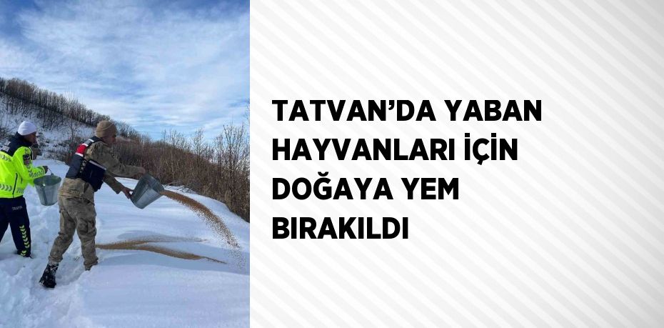 TATVAN’DA YABAN HAYVANLARI İÇİN DOĞAYA YEM BIRAKILDI