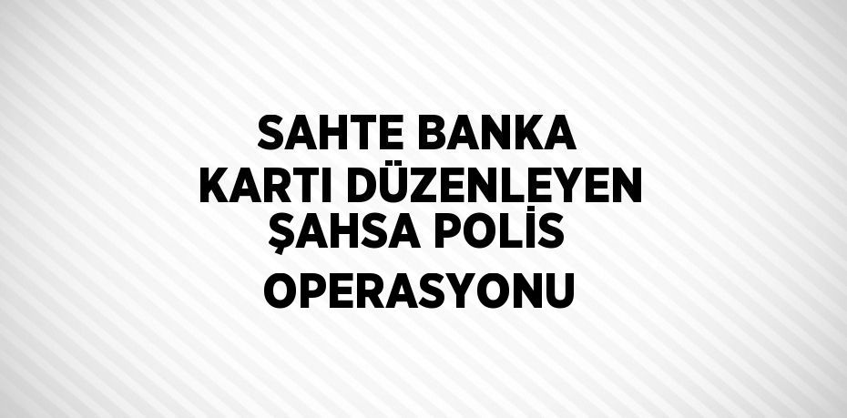 SAHTE BANKA KARTI DÜZENLEYEN ŞAHSA POLİS OPERASYONU