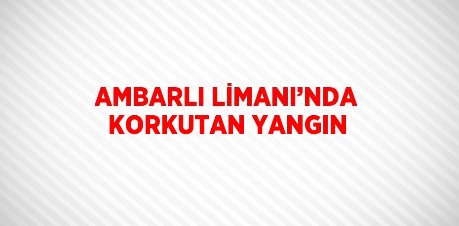 AMBARLI LİMANI’NDA KORKUTAN YANGIN