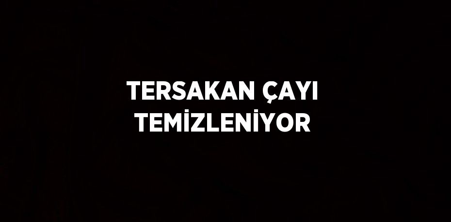 TERSAKAN ÇAYI TEMİZLENİYOR