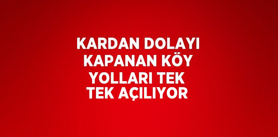 KARDAN DOLAYI KAPANAN KÖY YOLLARI TEK TEK AÇILIYOR