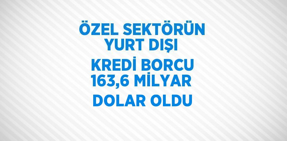 ÖZEL SEKTÖRÜN YURT DIŞI KREDİ BORCU 163,6 MİLYAR DOLAR OLDU