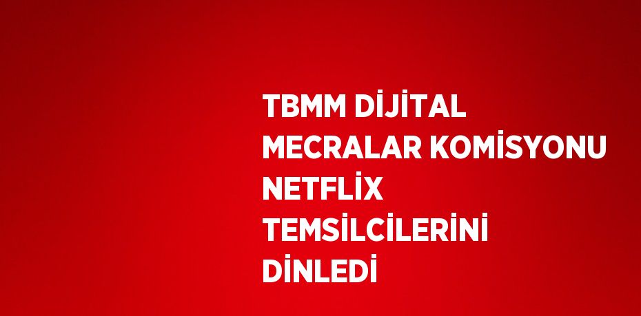 TBMM DİJİTAL MECRALAR KOMİSYONU NETFLİX TEMSİLCİLERİNİ DİNLEDİ