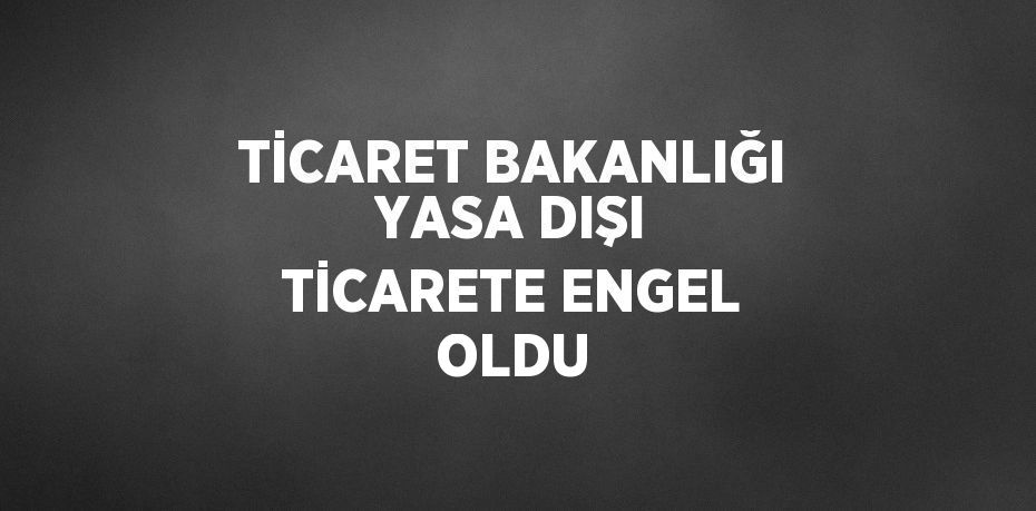 TİCARET BAKANLIĞI YASA DIŞI TİCARETE ENGEL OLDU