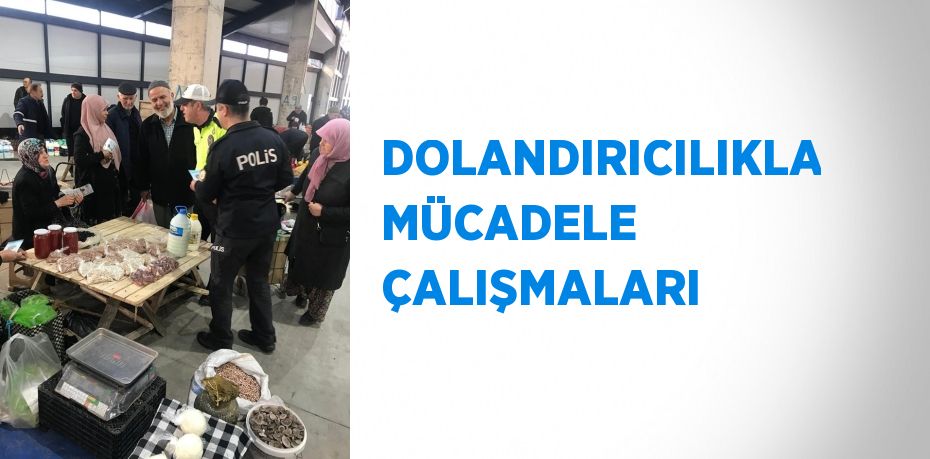 DOLANDIRICILIKLA MÜCADELE ÇALIŞMALARI