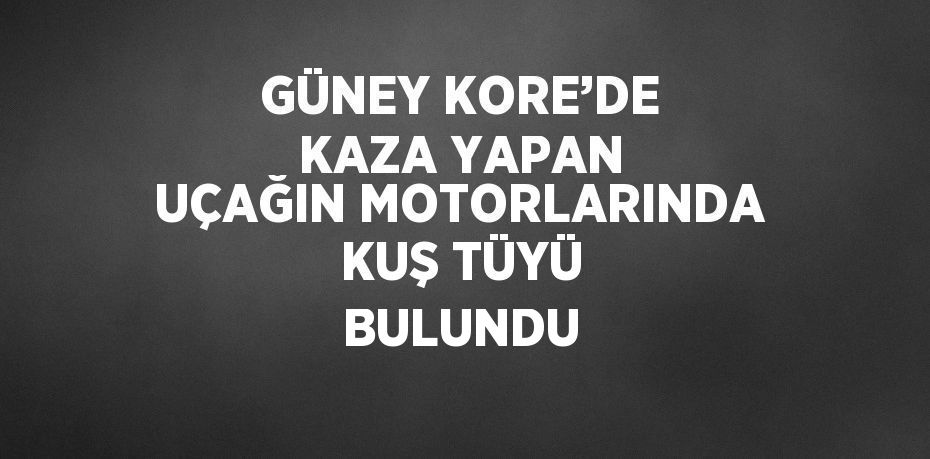 GÜNEY KORE’DE KAZA YAPAN UÇAĞIN MOTORLARINDA KUŞ TÜYÜ BULUNDU