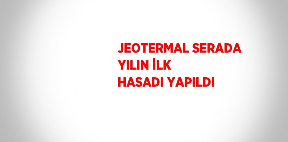 JEOTERMAL SERADA YILIN İLK HASADI YAPILDI