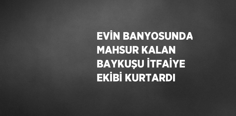 EVİN BANYOSUNDA MAHSUR KALAN BAYKUŞU İTFAİYE EKİBİ KURTARDI