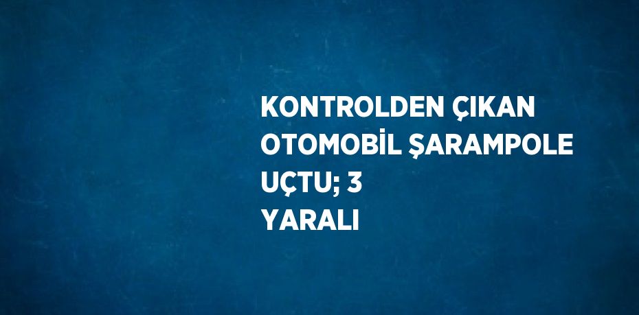 KONTROLDEN ÇIKAN OTOMOBİL ŞARAMPOLE UÇTU; 3 YARALI